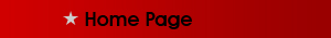 US loan auditors - page structure image(unrelated to loan audit)